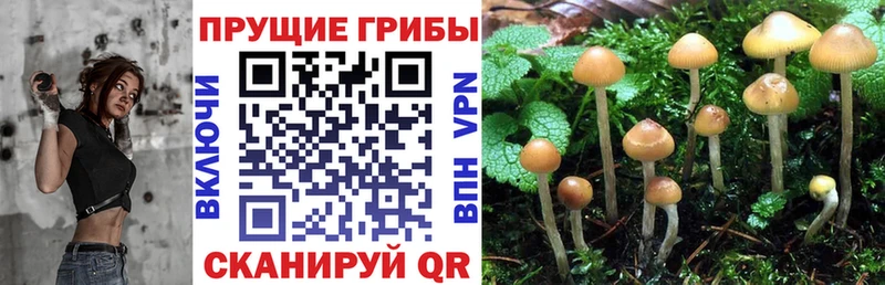 Купить где  Феодосия  Галлюциногенные грибы прущие грибы 