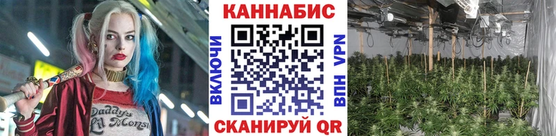 Каннабис гибрид  Купить где  Феодосия 